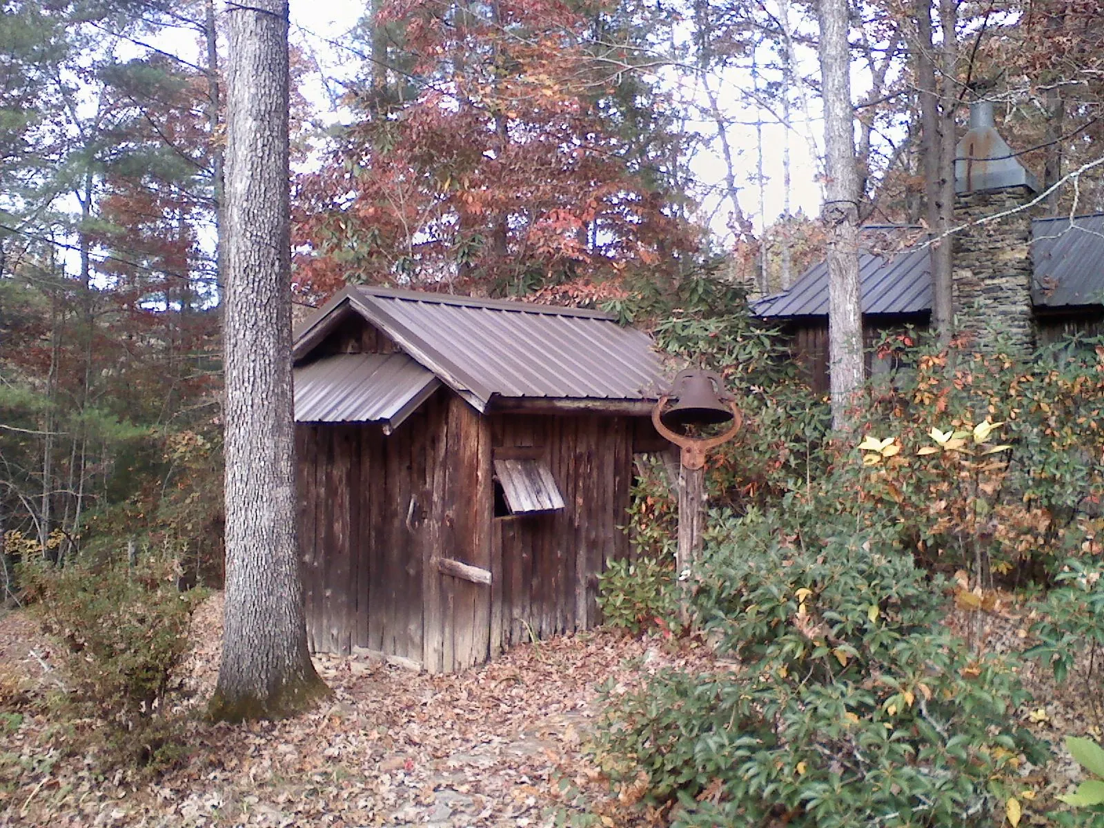 Small metal roof on a rough sawn shed in the woods in Blounts Creek