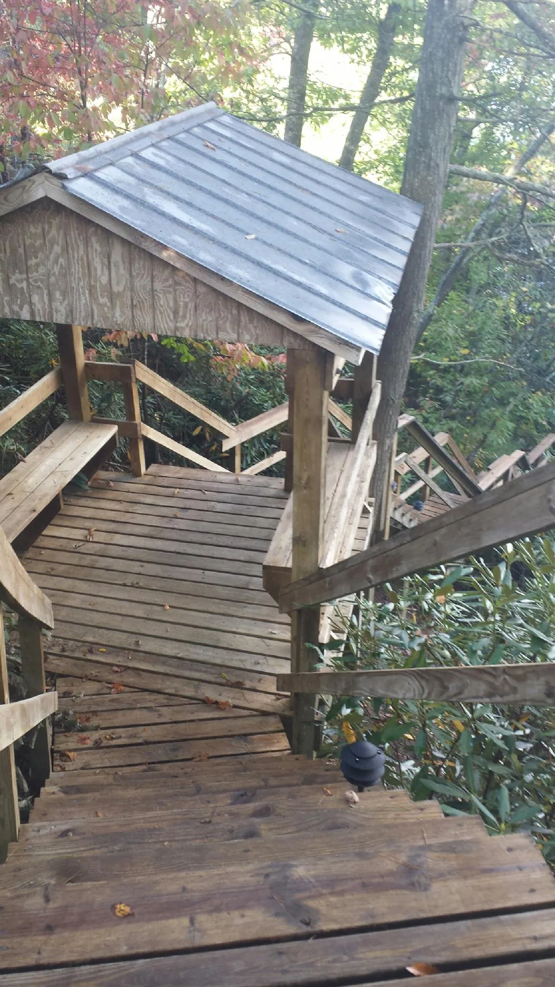 Metal roofed shelter over wooden steps on a wooded walkway — Skylight Repair & Installation work by our crew in Blounts Creek
